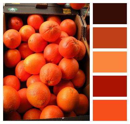 Oranges Fruit Crate Greengrocer Image